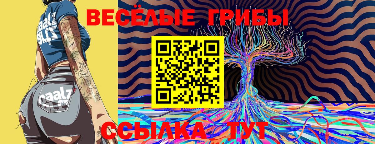Псилоцибиновые грибы прущие грибы Егорьевск