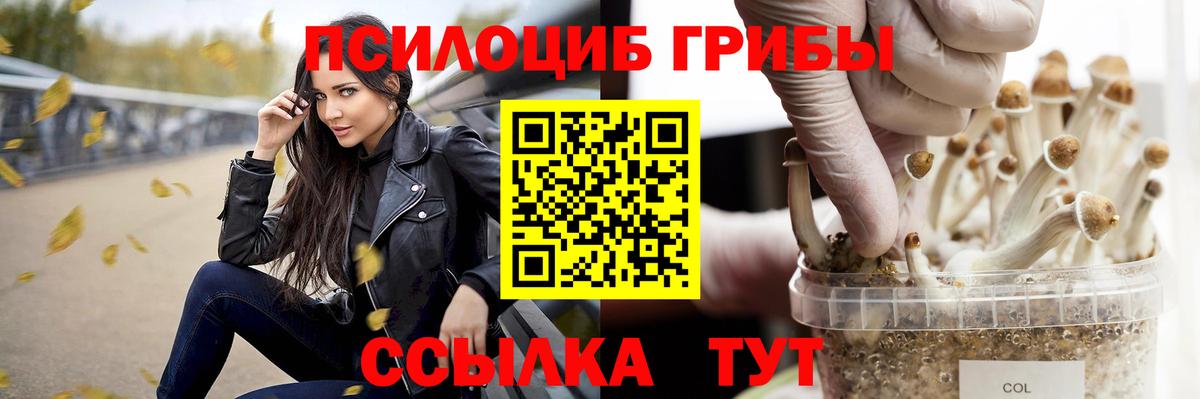 Егорьевск  Галлюциногенные грибы MAGIC MUSHROOMS  Вход с VPN  Псилоцибиновые грибы Psilocybe 